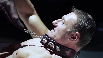 Жены Футболистов | Les Femmes de Footballeurs (2014)