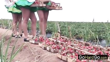 Собирала ягоды на поле и нарвалась на большой член