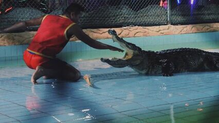 Машина любви | Love Machine (2016) драма, Россия