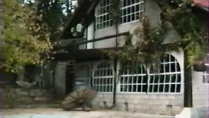 Падшая звезда / La star dechue (1990) порно фильм с Мисс Франции 1985