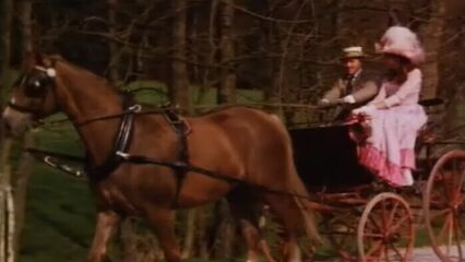 Жозефина Мутценбахер: Как это было 2 (Ночь диких пенисов)